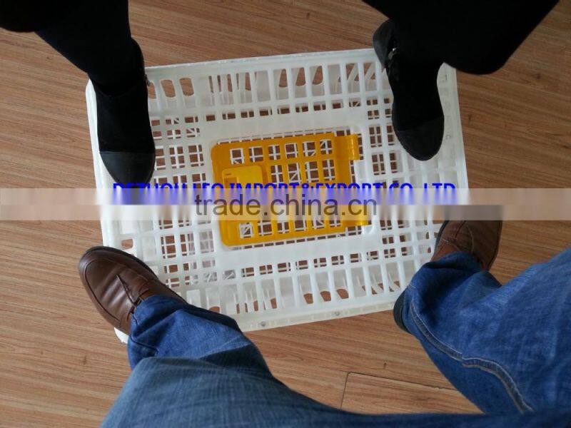 European Union hot selling plastic chicken transport box