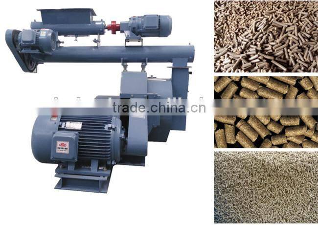 Sri lanka Factory Price CE poultry farm equipment for sale