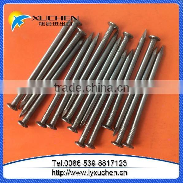 Galvanized common nail/common iron nail factory manufacturer in China