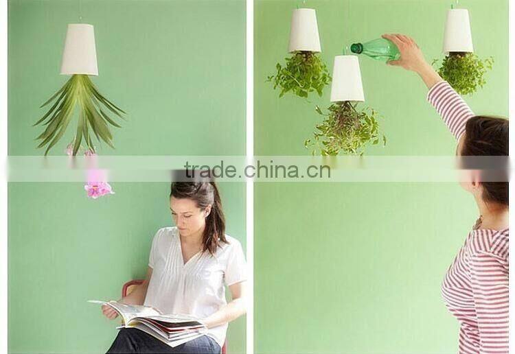 Plastic Sky Planter Creative Decorative Home Mini Sky Garden Flower Pot Beauty Sky Planter