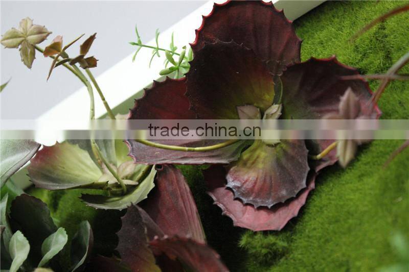 for home garden tiles deco 120*60cm paint color indoor artificial succlent boutique plant wall laminate combinations Ejq10 1204