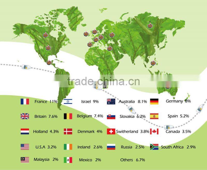Food grade Shirataki noodle/Konnyaku