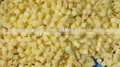 Widely used professional vegetable chopper/vegetable shredder/fruit and vegetable cutting machine