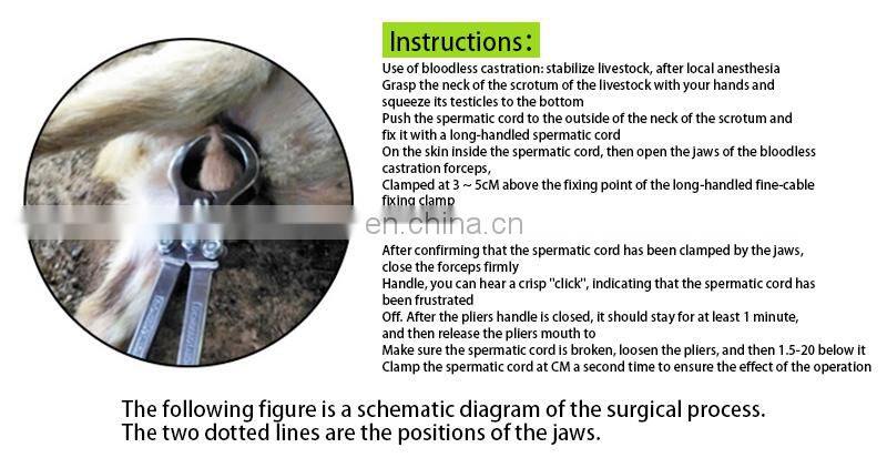 HC-R076 Sheep , Goat Bloodless Castration Burdizzo Castrator , Animal Forceps Castration /Sheep Castration