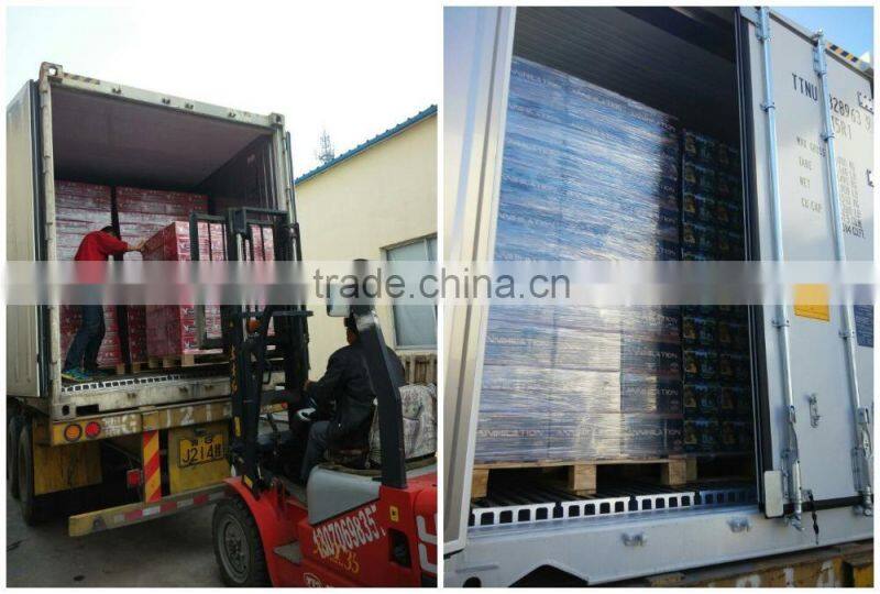 2000 rounds paintballs bullet 0.68 caliber