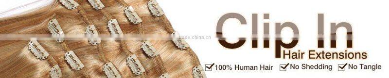 100% high quality Remy Human Hair Clip In Hair Extension
