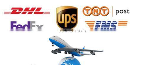 Little animal gastroscope bronchoscope3.8mm portable flexible reusable video veterinary endoscope