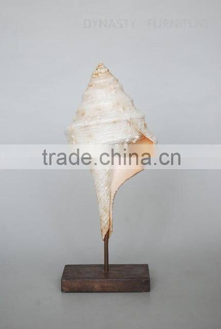 antique ornaments decoration conch