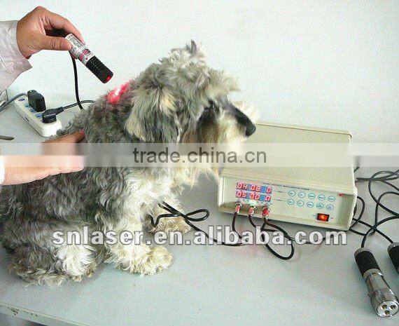 Veterinary laser treatment device