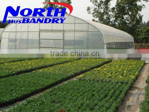 multi span poly film greenhouse from manufacturer