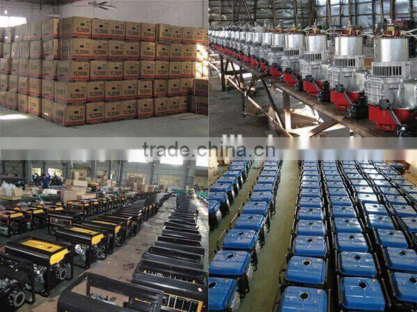 2kw 2kva Chinese generator manufacturer 6.5HP