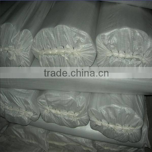 Fiberglass window screen factory 18x16mesh 120g