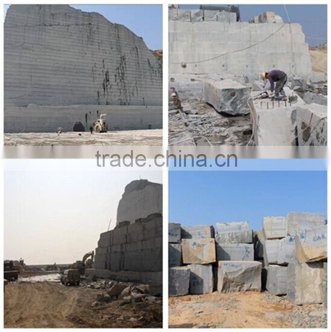 Silver marten Marble