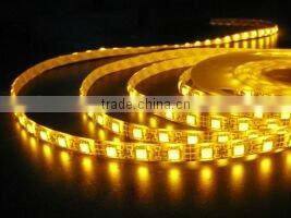 IP68 waterproof SMD 5050 LED strip light