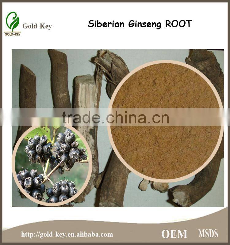 St. John's Wort Root part Extract with 0.3% Hypericin UV