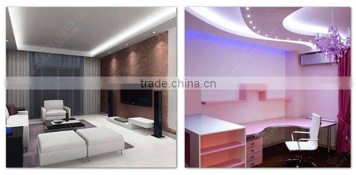 12V /24V Green SMD 5050 Waterproof Garden Decoration Cuttable LED Strip Light