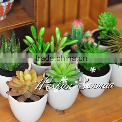 pure hand-made new arrival artificial succulent mini bonsai for indoor decoration