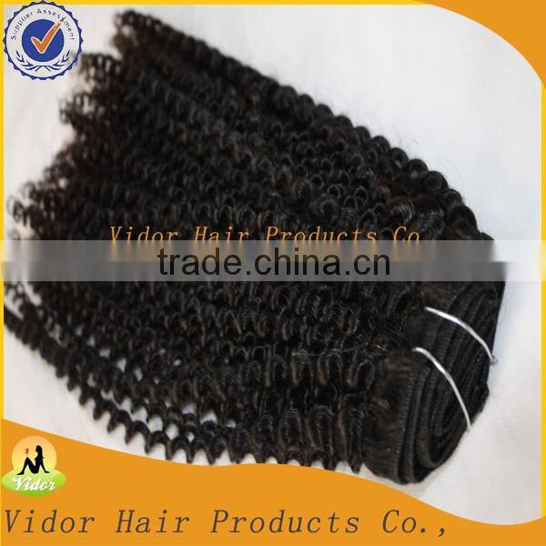 Unprocessed Virgin Brazilian Full Cuticle Afro Kinky Curly Clip On Hair Extension