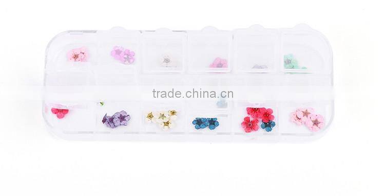 Nail art accessories real dry dried flowers 12 colors in rectangle