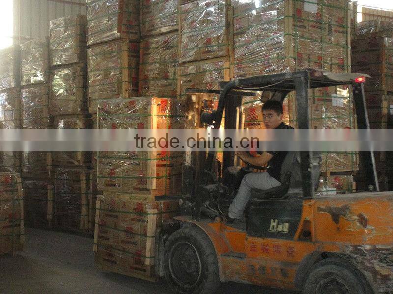 600x600cm Factory Floor Tile in Fuzhou