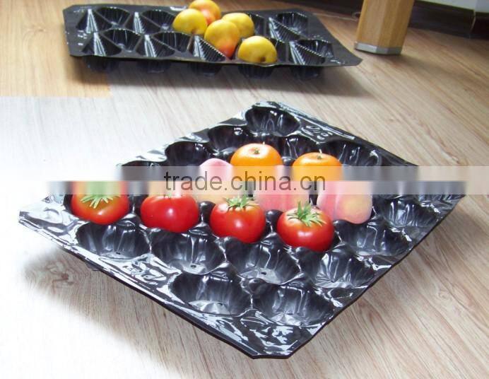 Coloerful round bottom tray