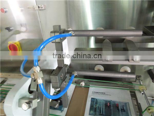 ZK8-200B Horizontal Pouch Packing Machine for Powder in Stand-up with Zipper Pouches
