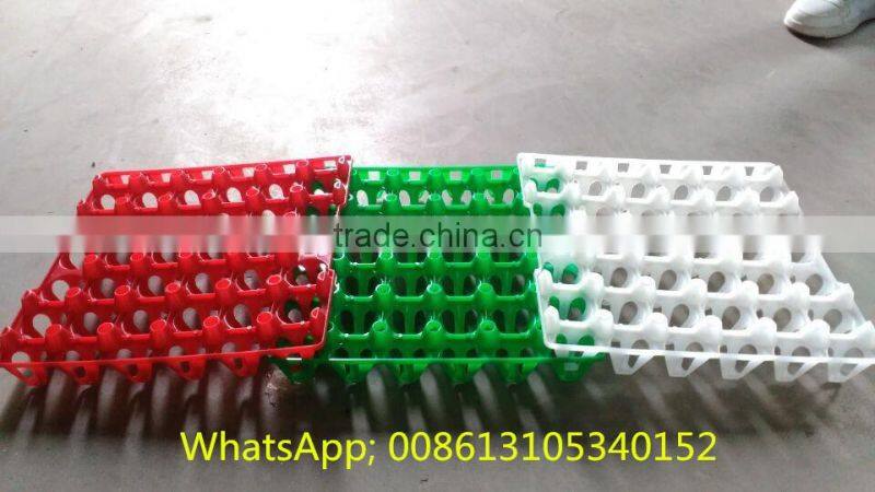 plastic protect egg-cartons incubator transportation egg turning tray
