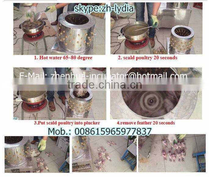 ZH-40 bird pluckers machine poultry plucker/quail plucker work rate 10~12pcs/time (Lydia : 0086.15965977837)