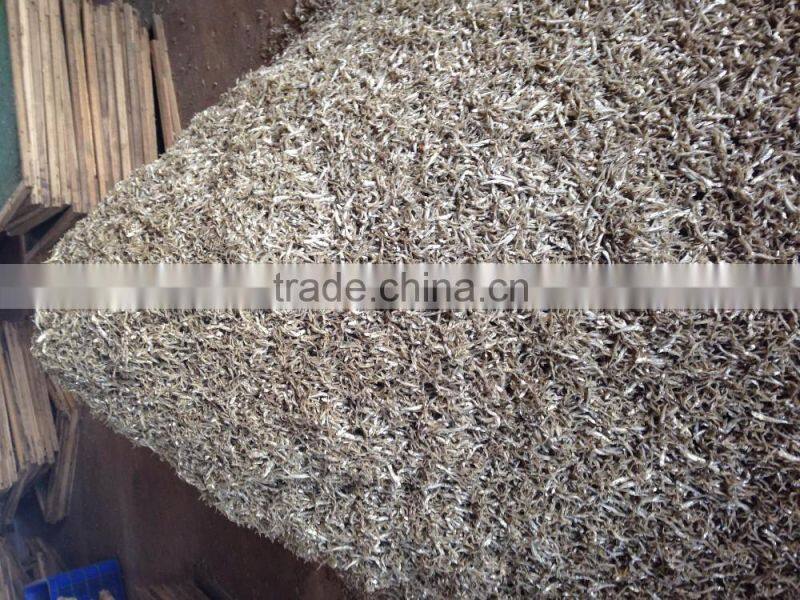 SUPPLIER DRIED SPRATS SILVER LINE EXPORT TO SRILANKA (Email: katherine.vilaconic@ , Viber, Whatsapp: +841687264621)