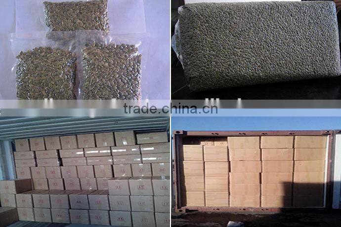 Shine Skin Pumpkin Seeds Kernel With Top and High Quality