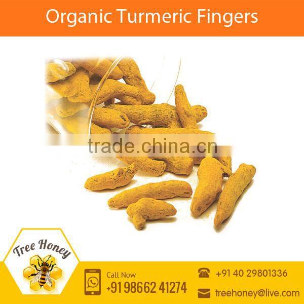 High Quality Polished Turmeric Fingers with Longer Shelf Life