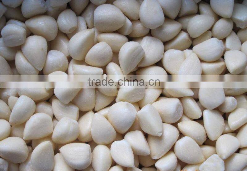 IQF Peeled Garlic