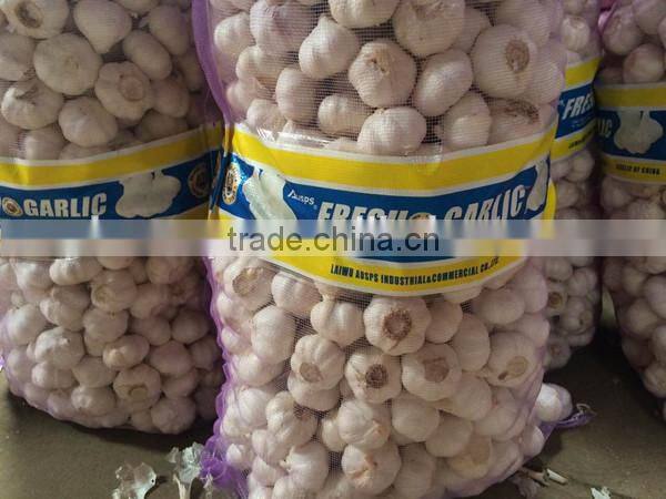 kinds of net bag for packaging