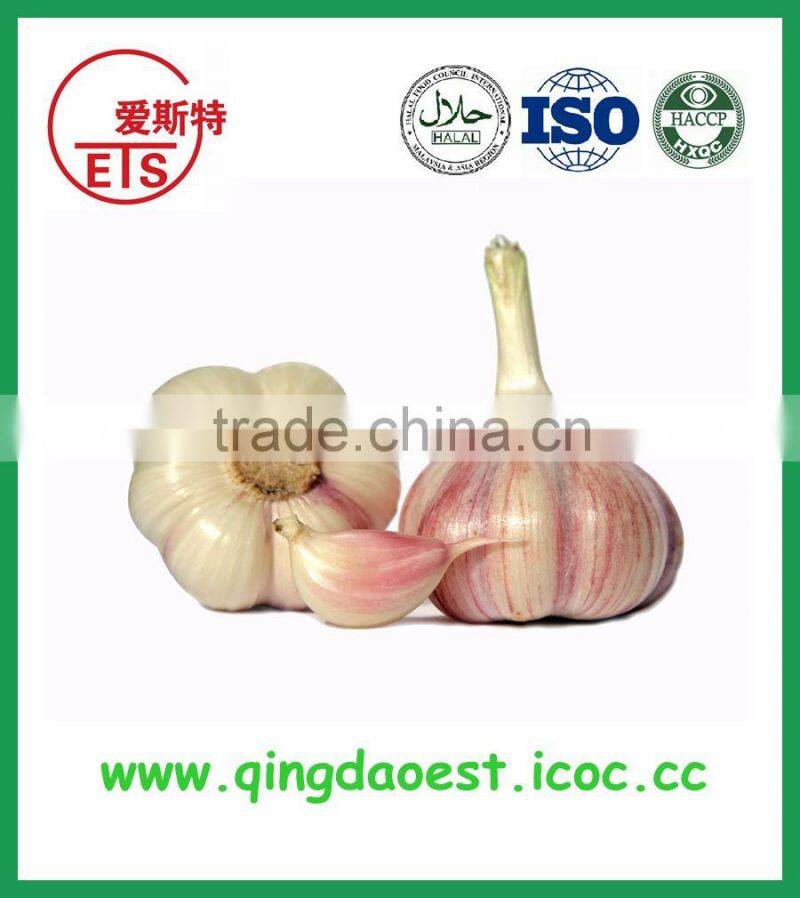 2015 factory price fresh GOOD QUALITY normal white garlic FOR SALE