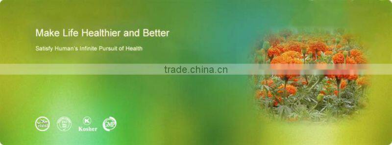 high quality 98% apigenin celery extract