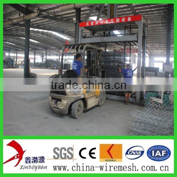 pvc hexagonal netting mesh/hexagonal mesh