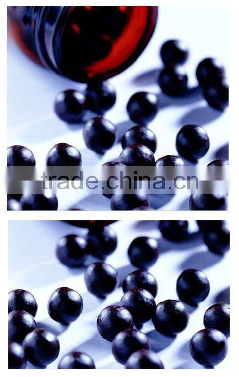 ZW-80B and ZW-20B Type Standing-style Automatic Herbal Pill Press Machine