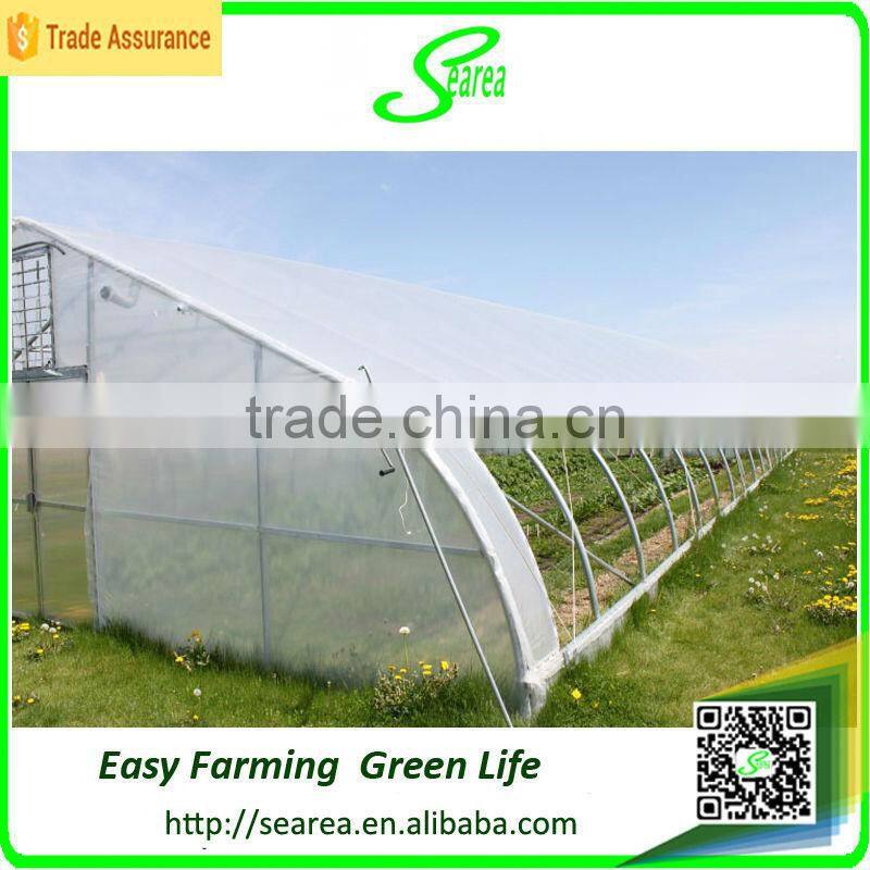 searea Hot sale commerical farming single-span plastic greenhouse