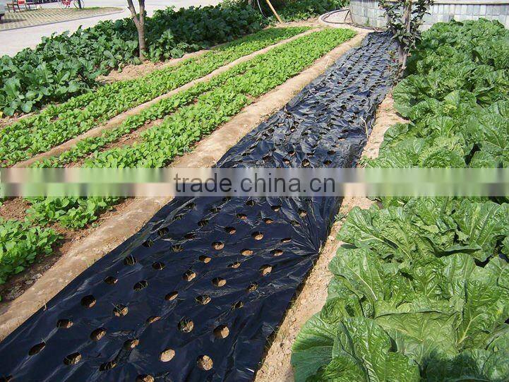 plastic perforated mulching film