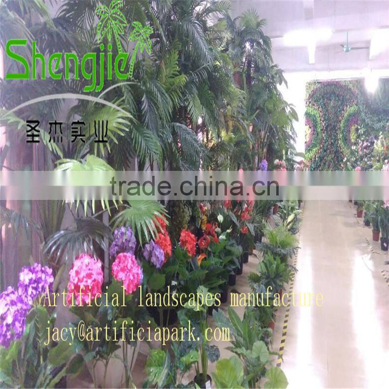 coconut trees pyrene