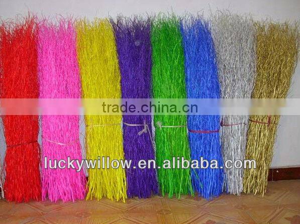 Prafessional factory supply Chinese dragon willow ,longliu,dragon sang for home & office decoration