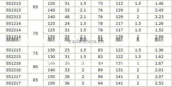 Stainless steel self-aligning ball bearing ss1300