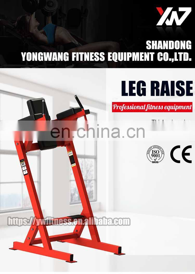 commercial high quality gym equipment YW-1655 strength Leg Raise