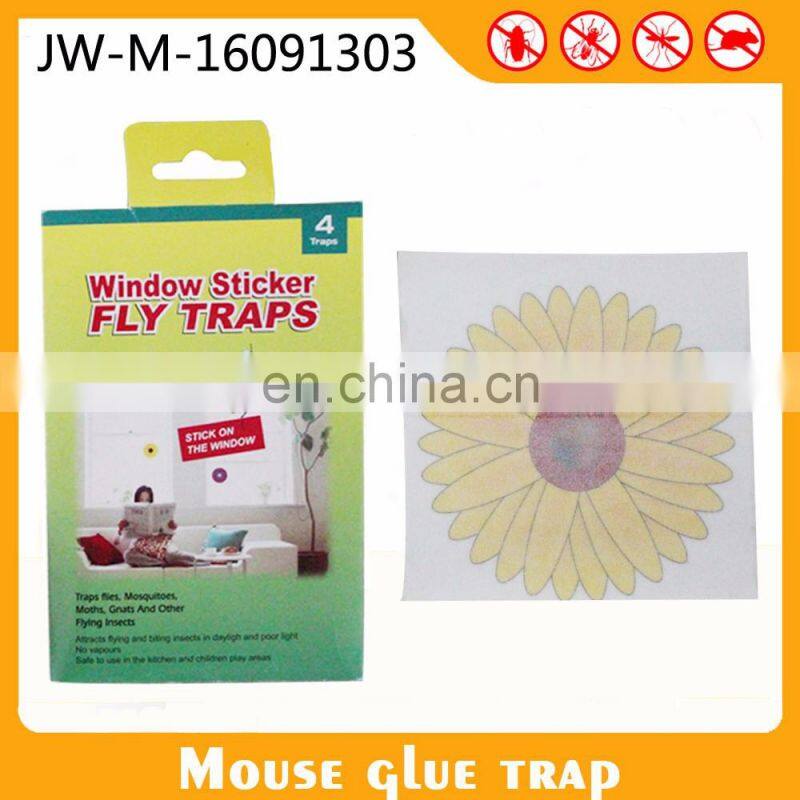 Pest Control Equipment Window Sticker Fruit Fly Glue Traps