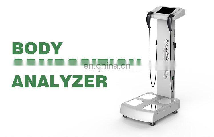 Human body composition analyzer Professional body fat analyzer with printer /on body composition fat analyzer weight