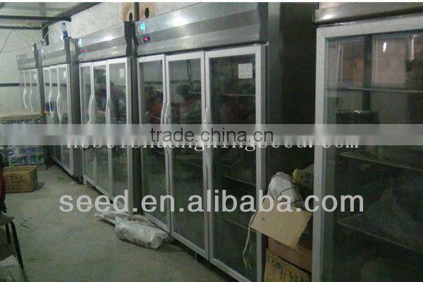 M11-03--planting sweet melon hybrid seed f1