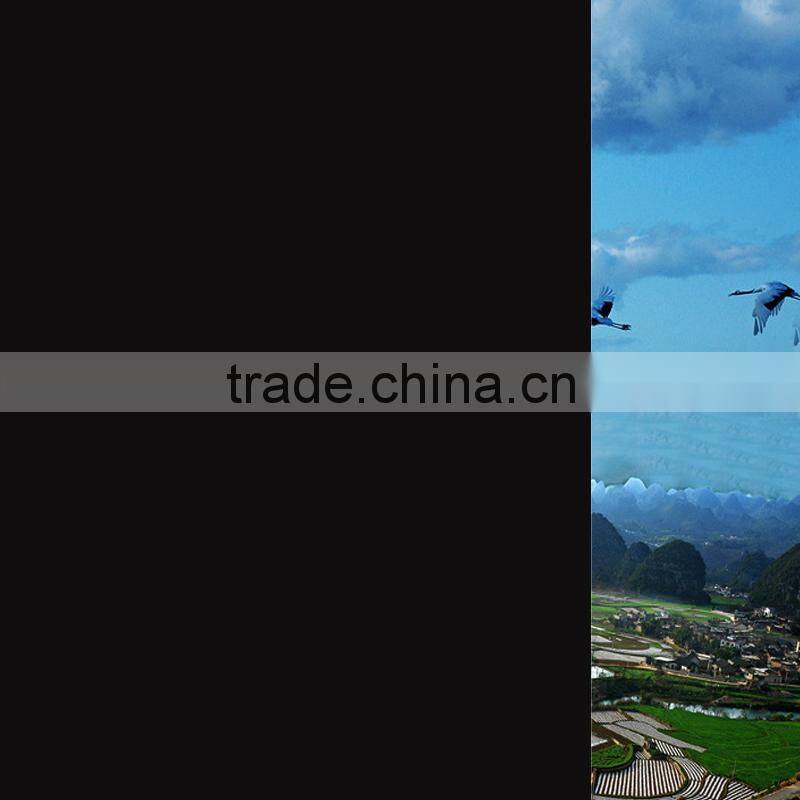 Factory supply hot sale adhesive black static window film