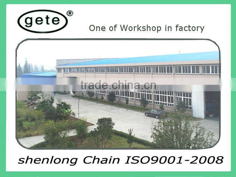 agricultural conveyor chain P76.2F5K1