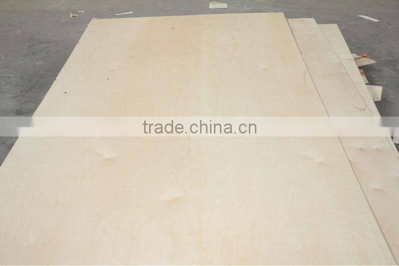 4/6/8/10/18mm bich plywood for russia market