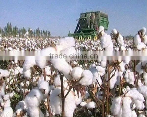 the latest style soft touch luxury polyester quilt cover popular in westren countries